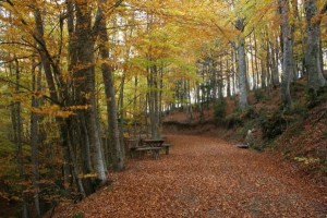 “Adotta un Sentiero” nel Parco Nazionale della Sila