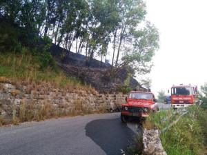 Un’altra giornata di fuoco a Cirò- sono andati in fiamme ettari di bosco di Eucalipti in zona Romanò2