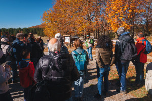 Il foliage nel Parco Nazionale della Sila protagonista su stampa e TV, in attesa dell’Unesco (1)